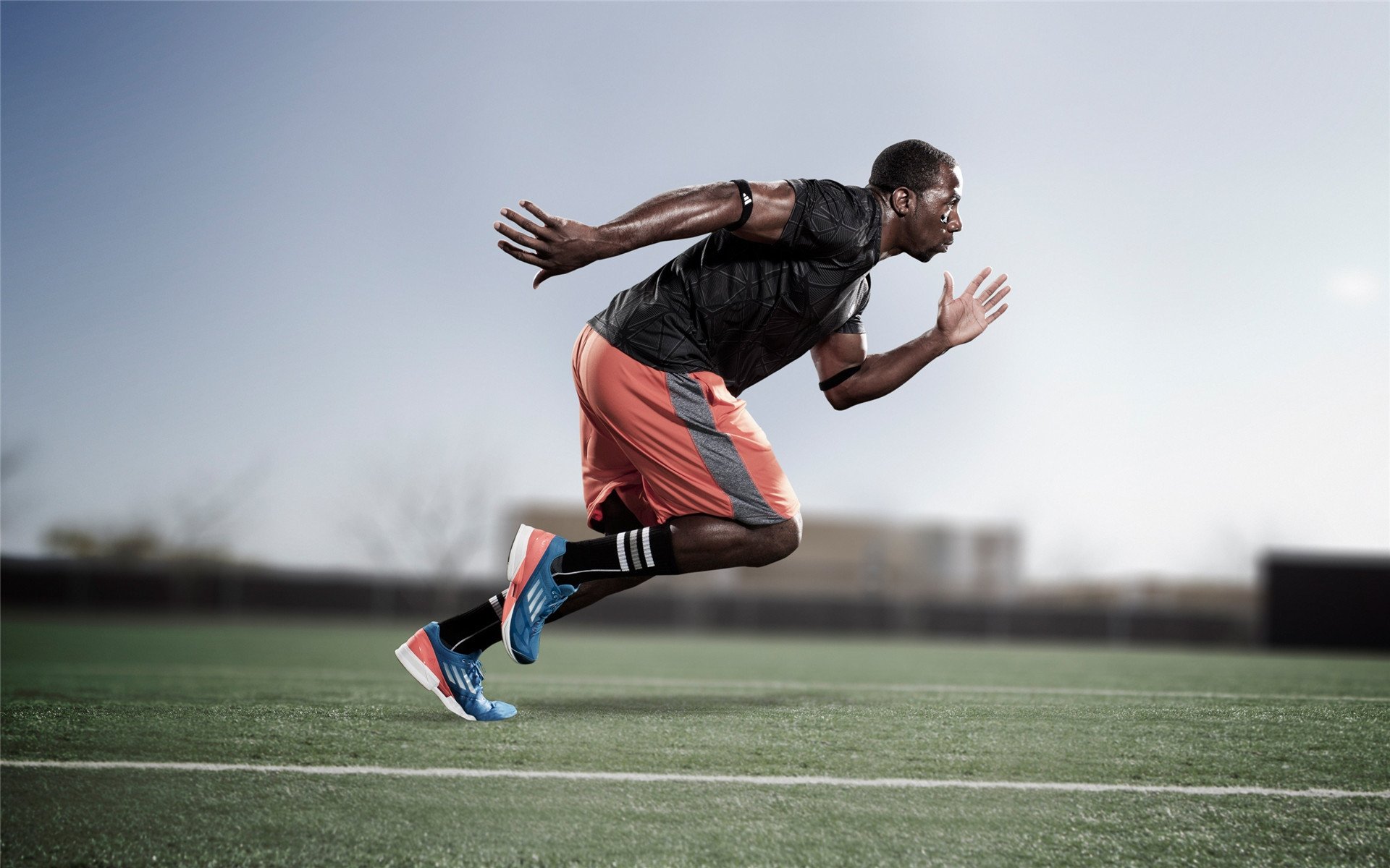 橄榄球赛事影响力扩大，橄榄球的赛事